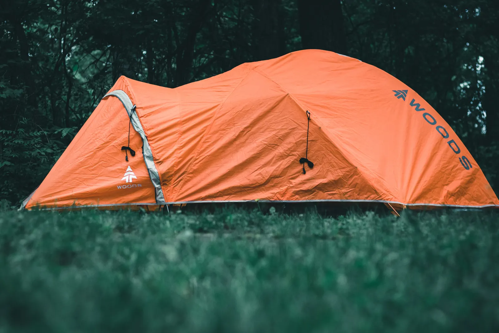 An orange tent pitched in a grassy clearing at the edge of a forest