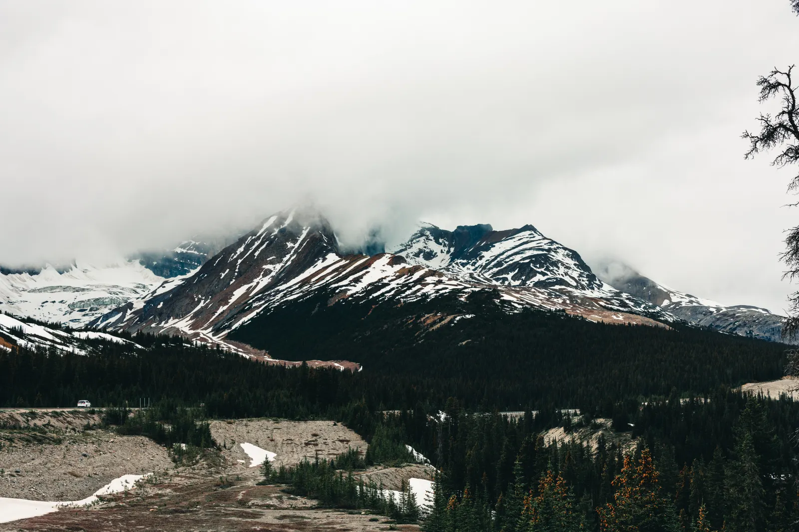 Snow-dusted peaks above dark evergreen forest in the Canadian Rockies