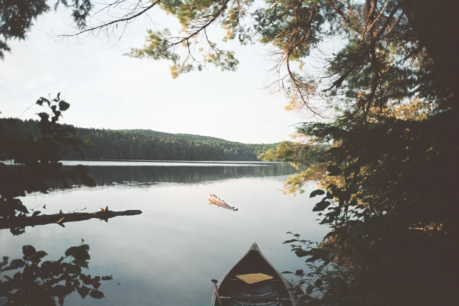 A wooden rowboat pulled up on a forested lakeshore
