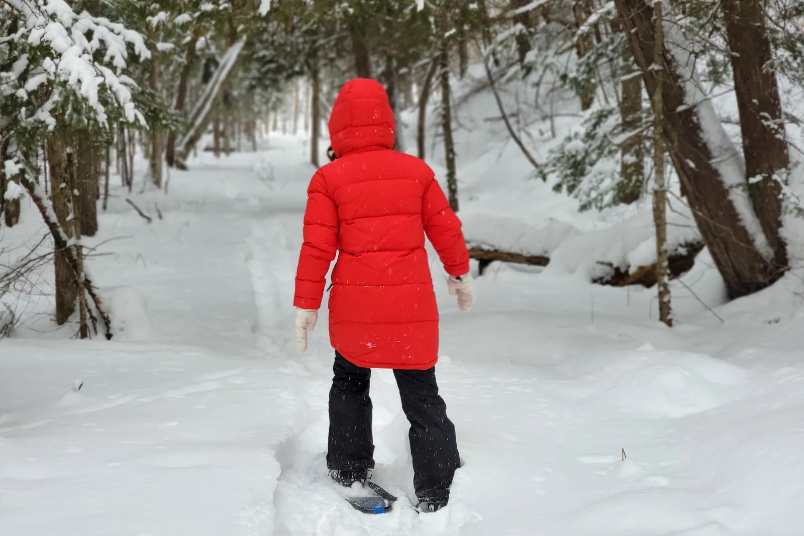 A person in a red winter jacket walking across a snow-covered landscape